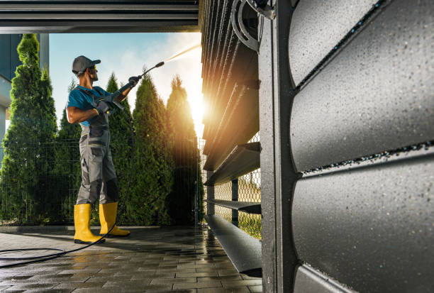 Best Graffiti Removal  in South Beach, FL